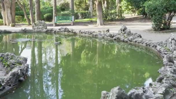 Маленький пруд в старом парке — стоковое видео