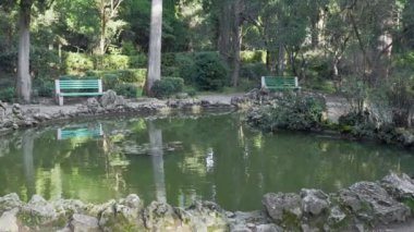Eski parkta küçük gölet