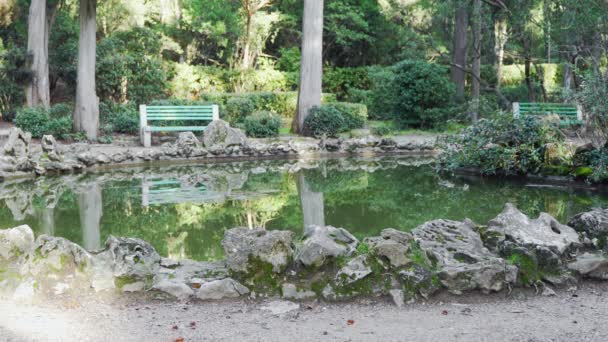 Small pond in the old park — Stock Video