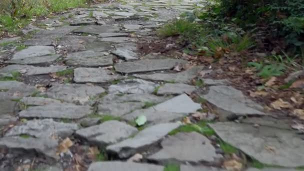 Passarela de Cobblestone no parque velho — Vídeo de Stock