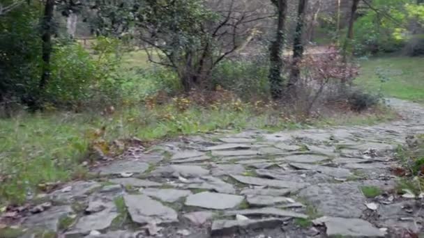 Pasarela de adoquines en el viejo parque — Vídeo de stock