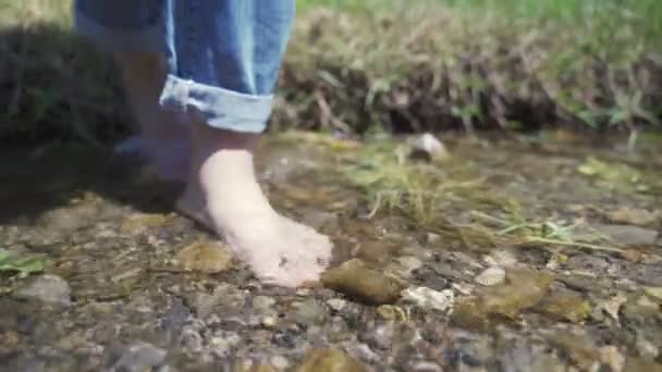 Chica Enfría Sus Piernas Río — Vídeos de Stock