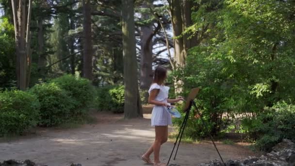 Chica artista en el parque pinta un paisaje con pinturas al óleo un pequeño estanque viejo 4k — Vídeos de Stock