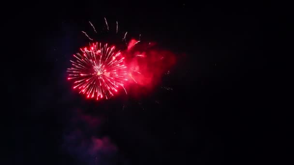 Fuochi Artificio Festivi Sulla Città Grida Gioiose Persone Luminoso Spettacolo — Video Stock