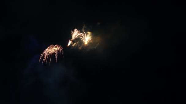 Festliches Feuerwerk Über Der Stadt Freudige Schreie Der Menschen Helles — Stockvideo