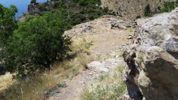 Un chemin dans la roche et un papillon vole — Video