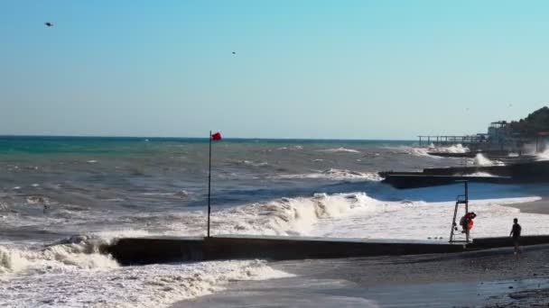 阳光明媚的海上风暴 绿蓝色的海水 在强风中飞舞的海鸥 禁止游泳的红旗警告 — 图库视频影像