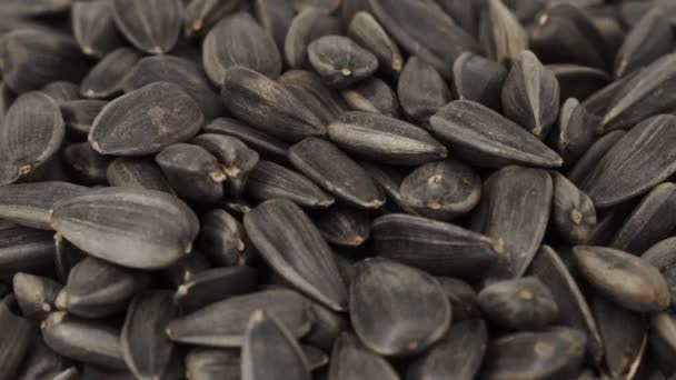 Sementes de girassol. As sementes fritas de close-up giram 360 graus. 4k — Vídeo de Stock