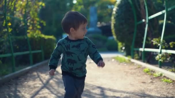 Zweijähriger kleiner Junge läuft durch eine grüne Gasse — Stockvideo
