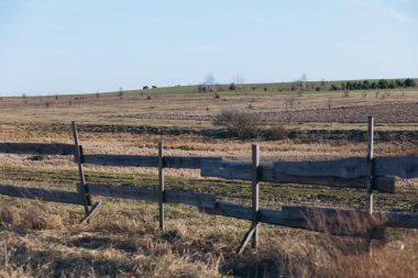 Parkın arkasında alan