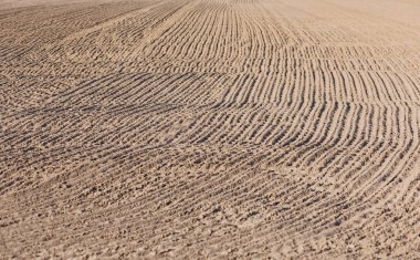 Verimli topraklar fotoğraf çiftçilik