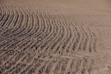 Verimli topraklar fotoğraf çiftçilik