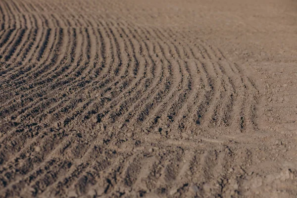 Plowing fertile soil photo