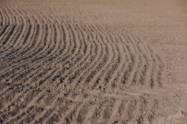 Verimli topraklar fotoğraf çiftçilik