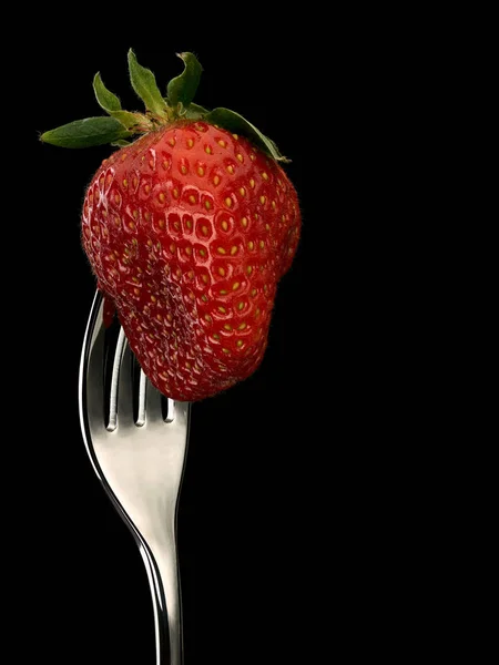 Fresa ensartada en tenedor de acero — Foto de Stock