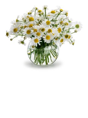 Çayır papatya sından buket