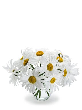 büyük bahçe papatya buket