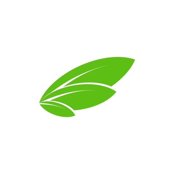 Vetor de design de logotipo de folha tripla — Vetor de Stock
