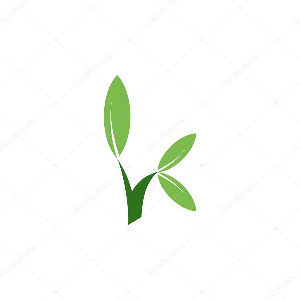 Letter K with leaf logo design vector