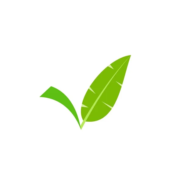 Litera V z logo Banana Leaf Design — Wektor stockowy