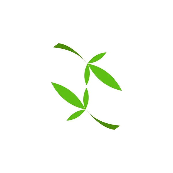 Folha Bambu Logotipo Vetor Design — Vetor de Stock