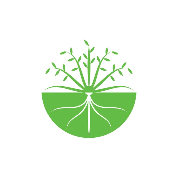 生长种子标志设计向量 — 图库矢量图片