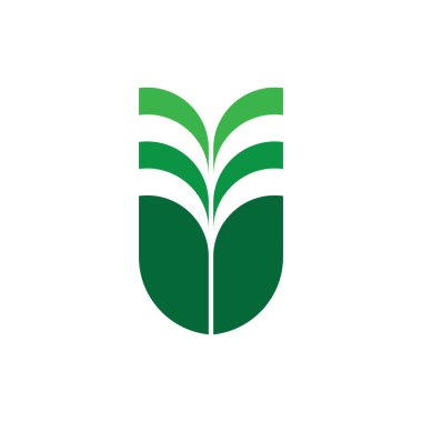 Yaprak büyüme bitkisi logo tasarım vektörlü V harfi