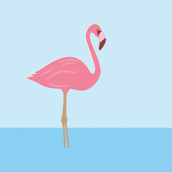 Pink flamingo in water — Stock Vector