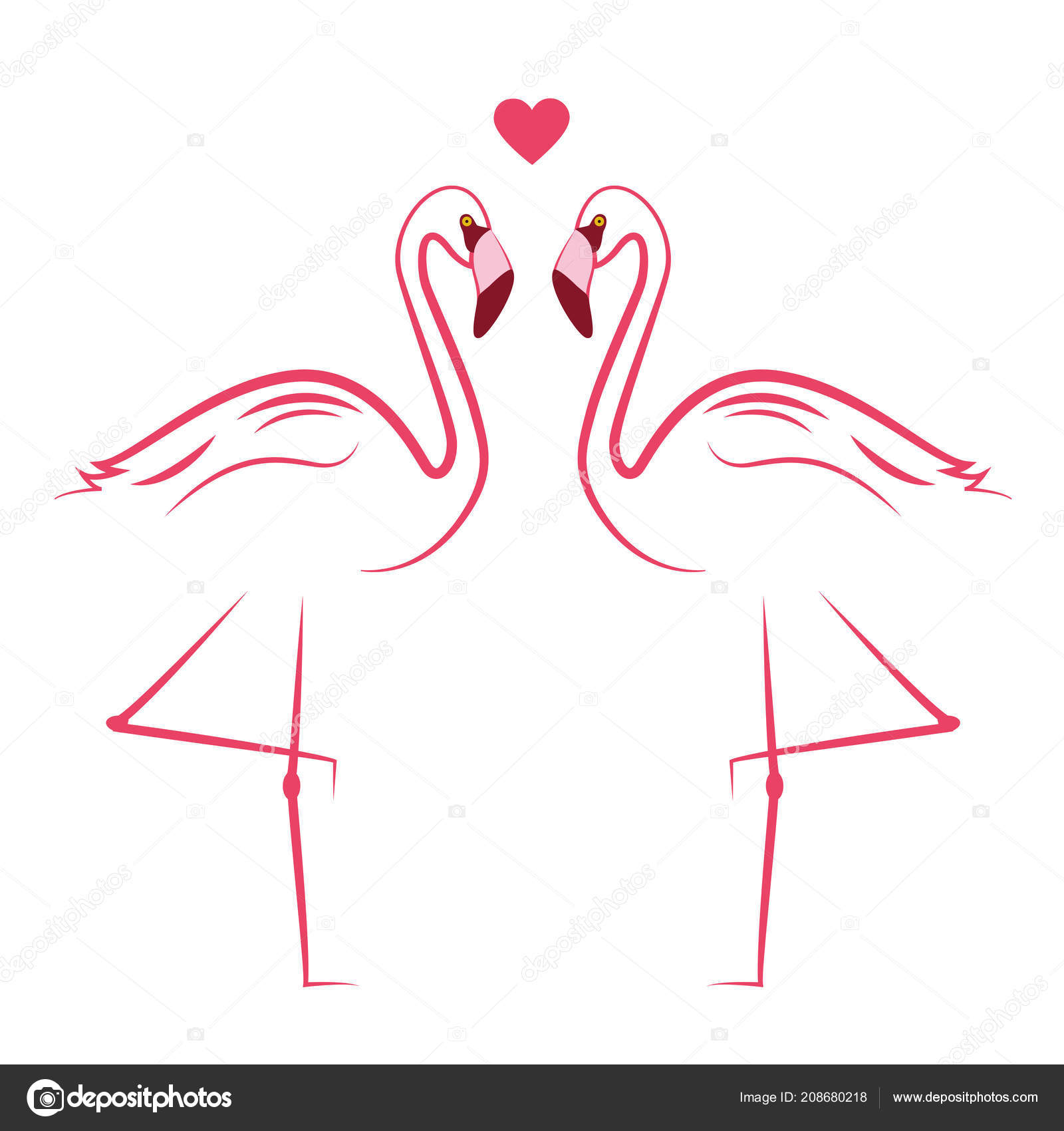 dois pink flamingos no