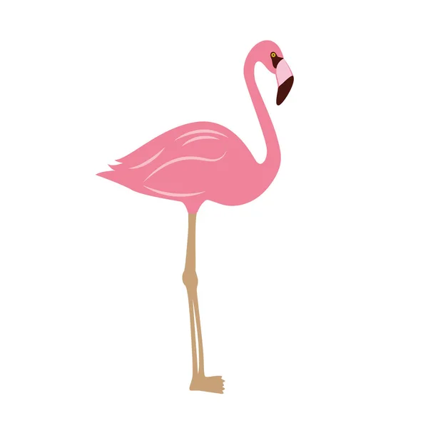 Pink flamingo isolated on white background — Stock Vector