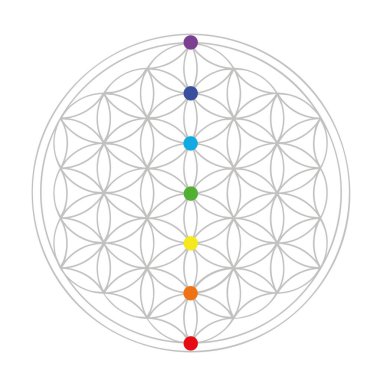 renkli çiçek hayat geometri