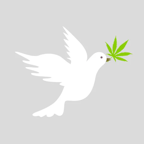 Білий голуб з зеленим конопельним листом символ миру — стоковий вектор