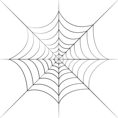 Beyaz arka plan vektör çizim Eps10 izole Siyah örümcek ağı