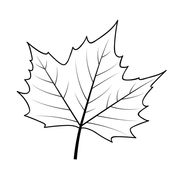 Herfst blad pictogram overzicht op witte achtergrond — Stockvector