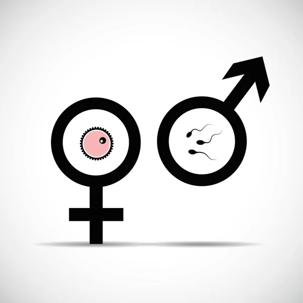 Procreación de símbolo femenino masculino — Vector de stock