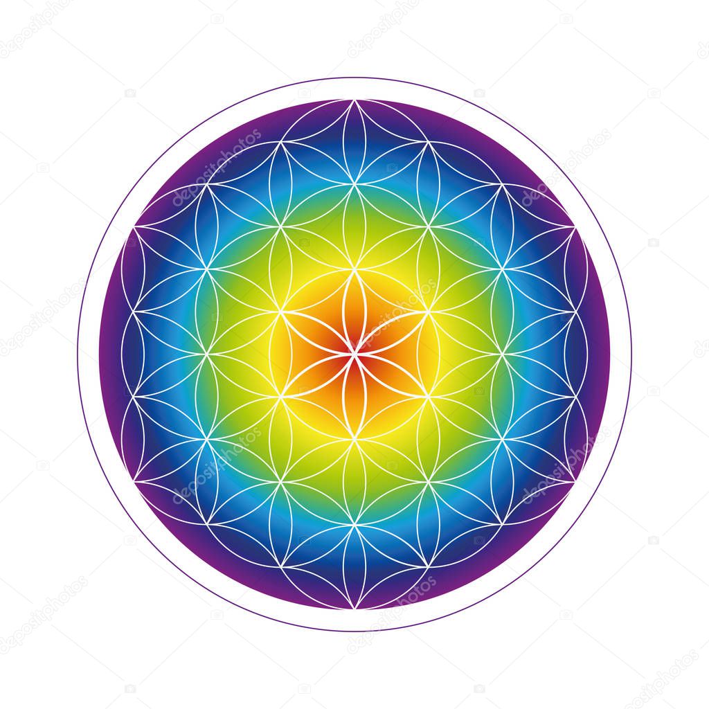 colorful flower of life geometry in rainbow colors