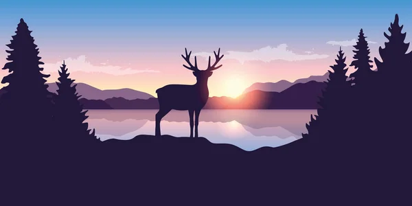 Renos junto al lago al amanecer vida silvestre naturaleza paisaje — Vector de stock