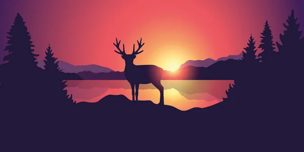 Bela paisagem da vida selvagem com montanhas lago renas e floresta ao pôr do sol —  Vetores de Stock