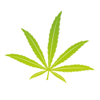 beyaz zemin üzerine yeşil esrar yaprak isoladet