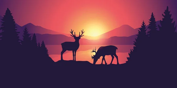 Δύο Άλκη στην άγρια φύση στην πανέμορφη λίμνη, στα βουνά στο sunrise — Διανυσματικό Αρχείο