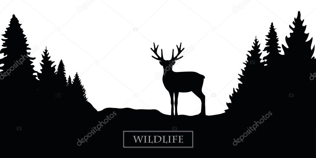 wildlife reindeer silhouette forest landscape black and white