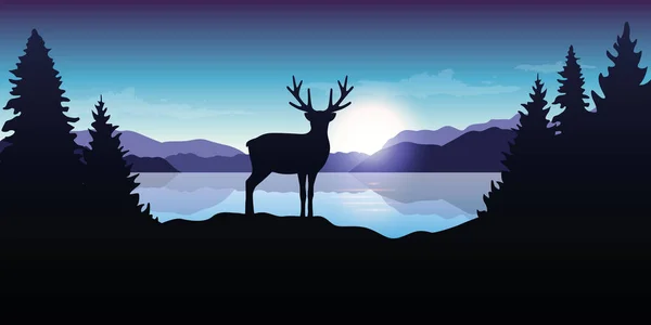 Renne in riva al lago all'alba blu fauna selvatica paesaggio naturale — Vettoriale Stock