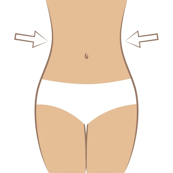 Cuerpo femenino slim fit — Vector de stock