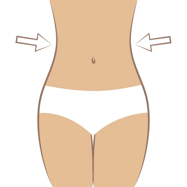 Slim fit female body — Stock Vector
