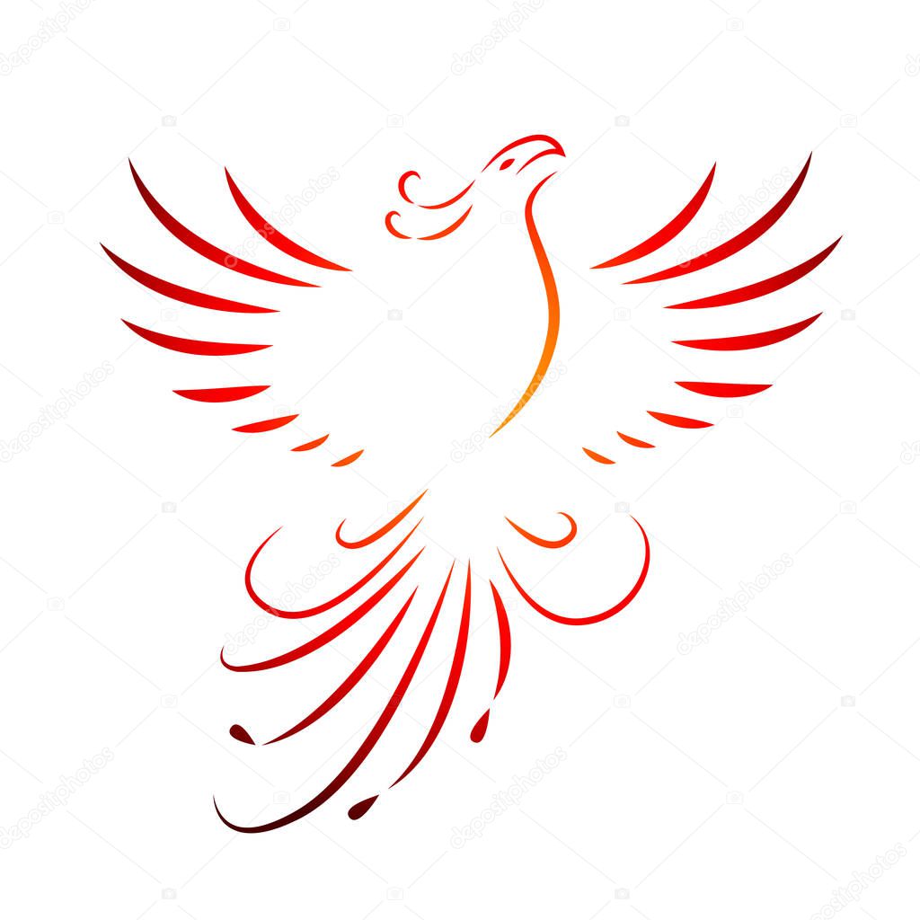 red phoenix rising wings line drawing isolated on a white background