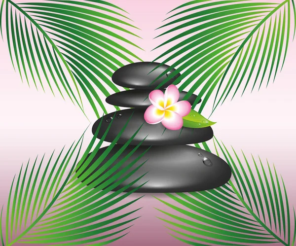 Negro spa zen piedras y plumeria frangipani flor — Vector de stock