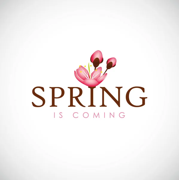 Весна грядет типографика с вишней цветущих цветов розовые лепестки — стоковый вектор