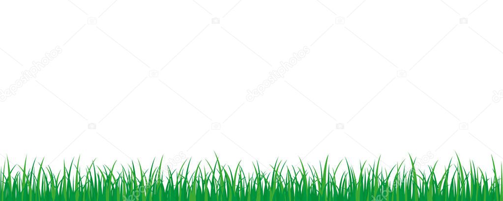 green grass meadow border vector pattern isoladet on a white background