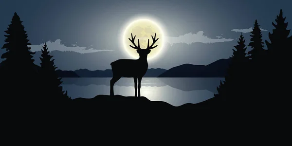 湖満月暗い夜の野生動物の自然風景でトナカイ — ストックベクタ