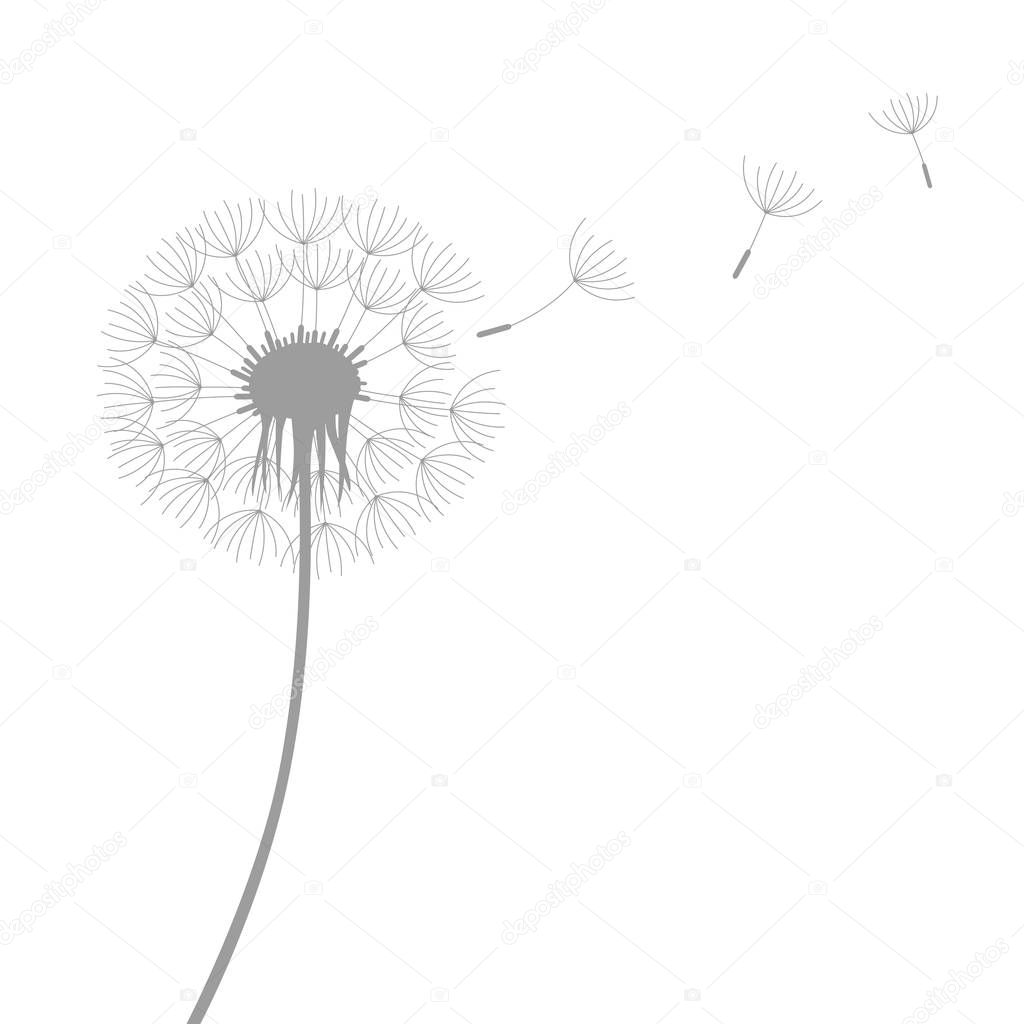 dandelion silhouette with flying seeds